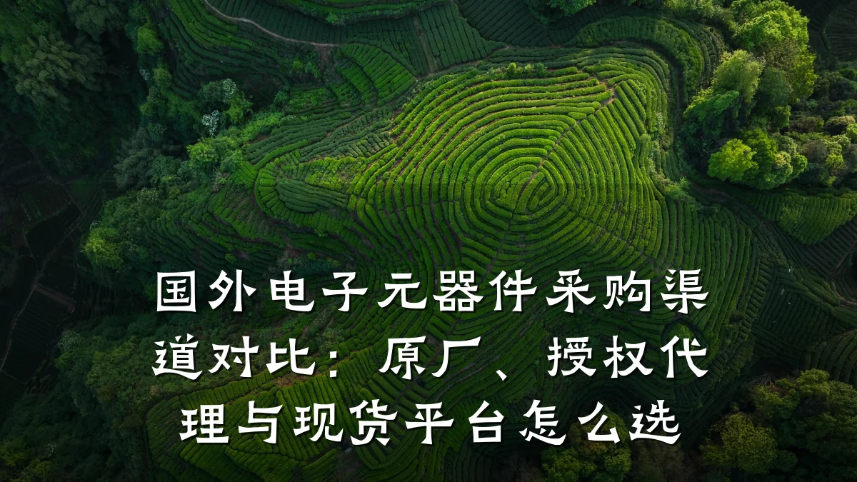 国外电子元器件采购渠道对比：原厂、授权代理与现货平台怎么选