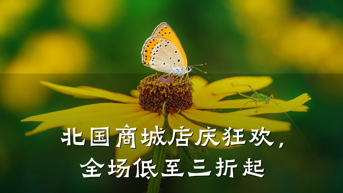北国商城店庆狂欢，全场低至三折起