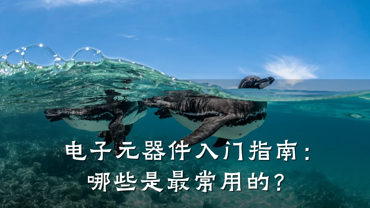 电子元器件入门指南：哪些是最常用的？