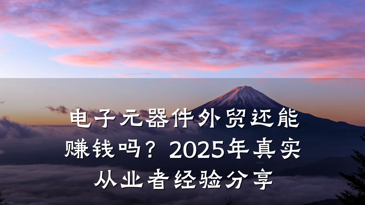 电子元器件外贸还能赚钱吗？2025年真实从业者经验分享