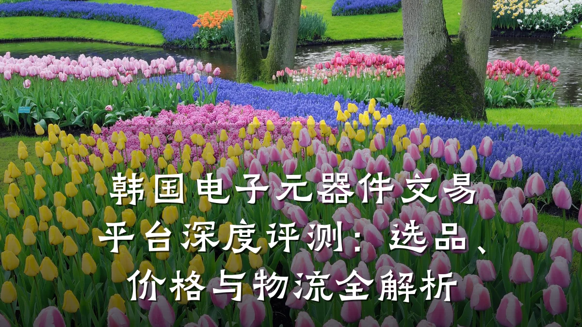 韩国电子元器件交易平台深度评测：选品、价格与物流全解析