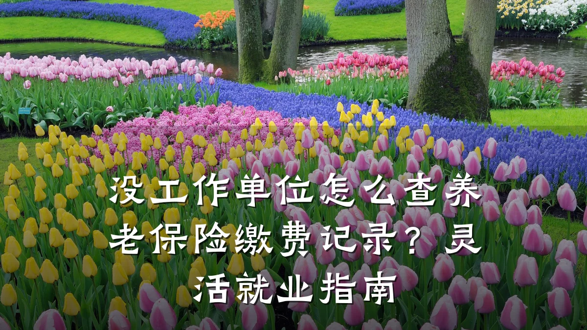 没工作单位怎么查养老保险缴费记录?灵活就业指南