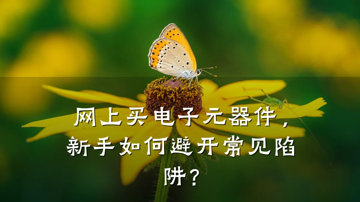 网上买电子元器件，新手如何避开常见陷阱？