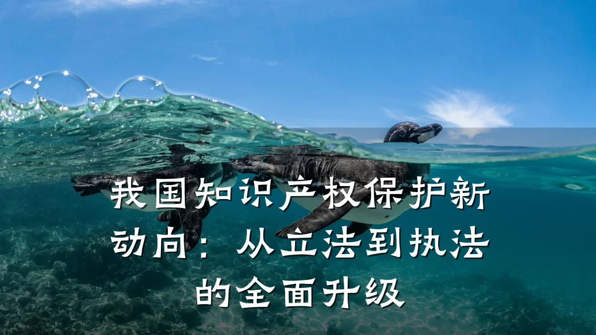 我国知识产权保护新动向:从立法到执法的全面升级