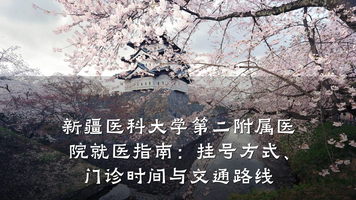 新疆医科大学第二附属医院就医指南：挂号方式、门诊时间与交通路线