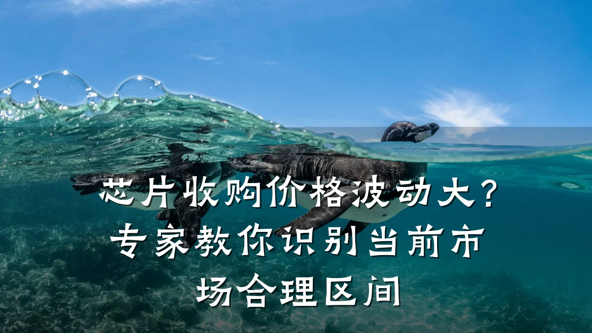 芯片收购价格波动大？专家教你识别当前市场合理区间