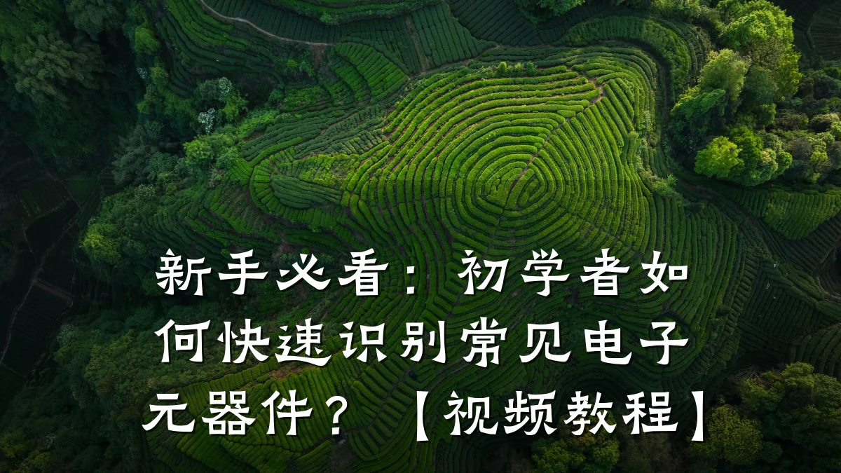 新手必看：初学者如何快速识别常见电子元器件？【视频教程】