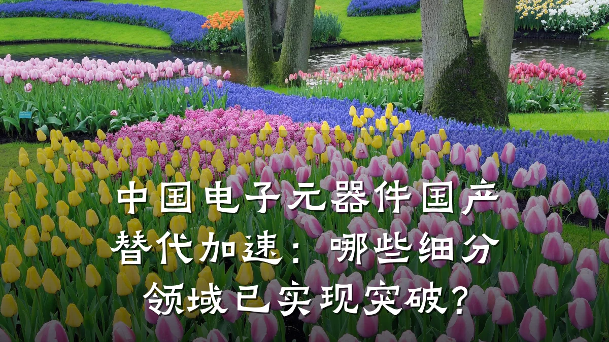 中国电子元器件国产替代加速：哪些细分领域已实现突破？