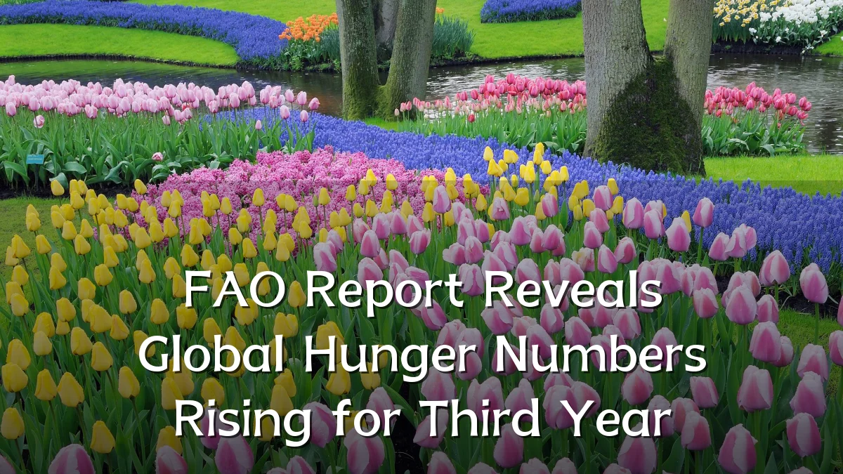 FAO Report Reveals Global Hunger Numbers Rising for Third Year