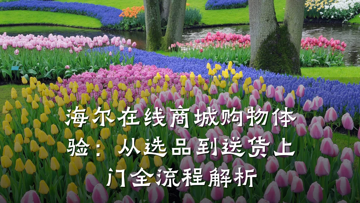海尔在线商城购物体验:从选品到送货上门全流程解析