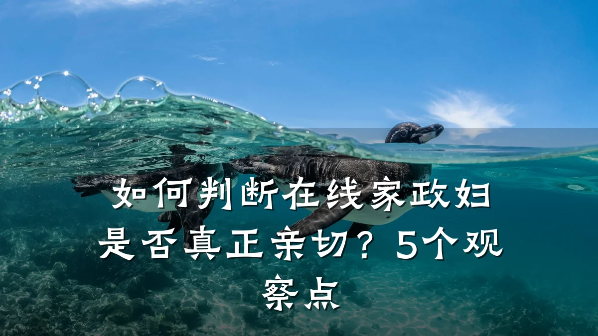 如何判断在线家政妇是否真正亲切？5个观察点