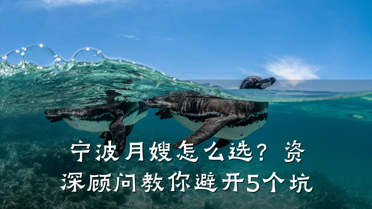宁波月嫂怎么选?资深顾问教你避开5个坑