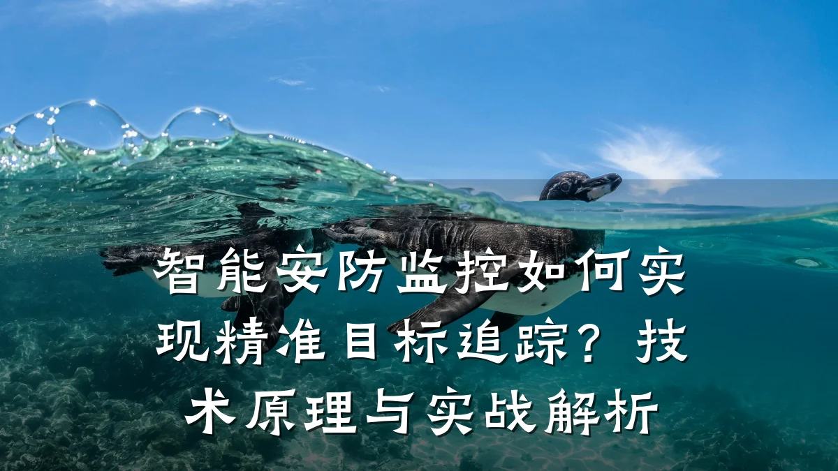 智能安防监控如何实现精准目标追踪?技术原理与实战解析