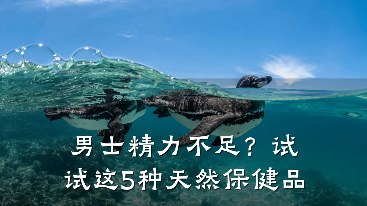 男士精力不足？试试这5种天然保健品