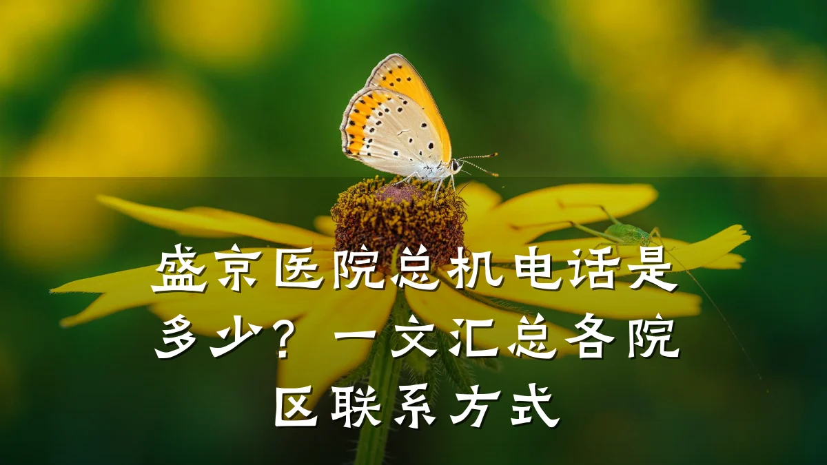 盛京医院总机电话是多少?一文汇总各院区联系方式