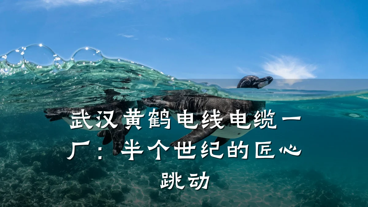 武汉黄鹤电线电缆一厂：半个世纪的匠心跳动