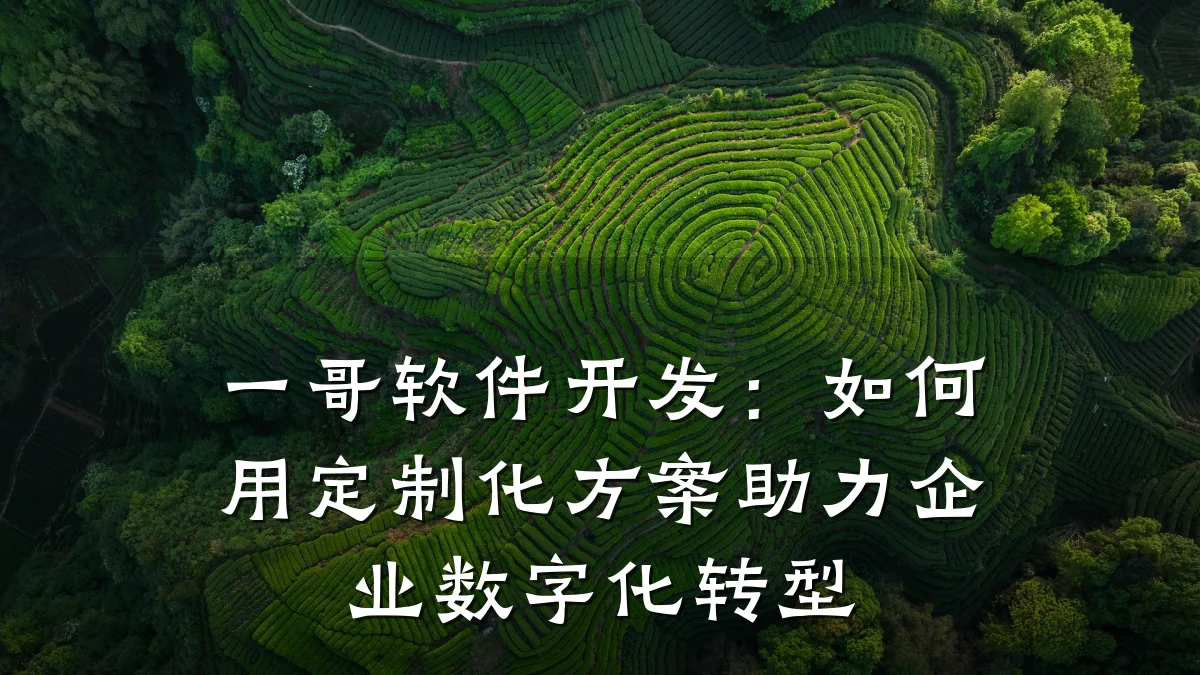 一哥软件开发：如何用定制化方案助力企业数字化转型