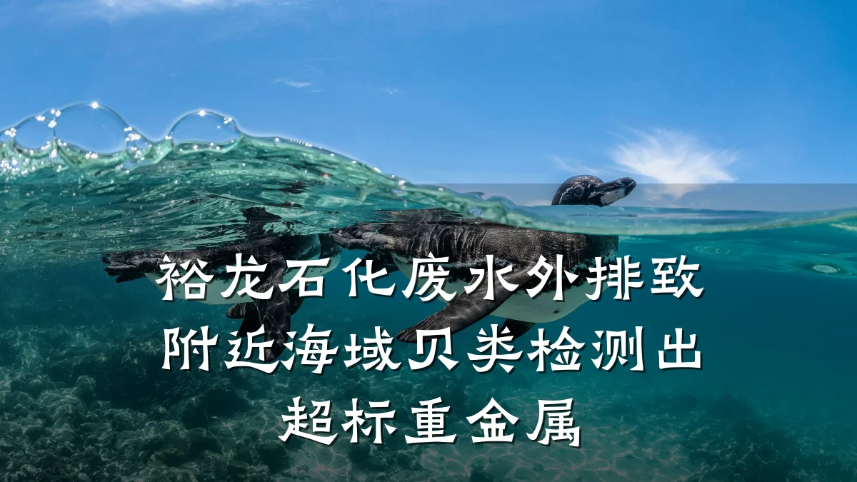 裕龙石化废水外排致附近海域贝类检测出超标重金属