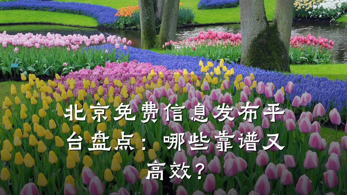 北京免费信息发布平台盘点:哪些靠谱又高效?