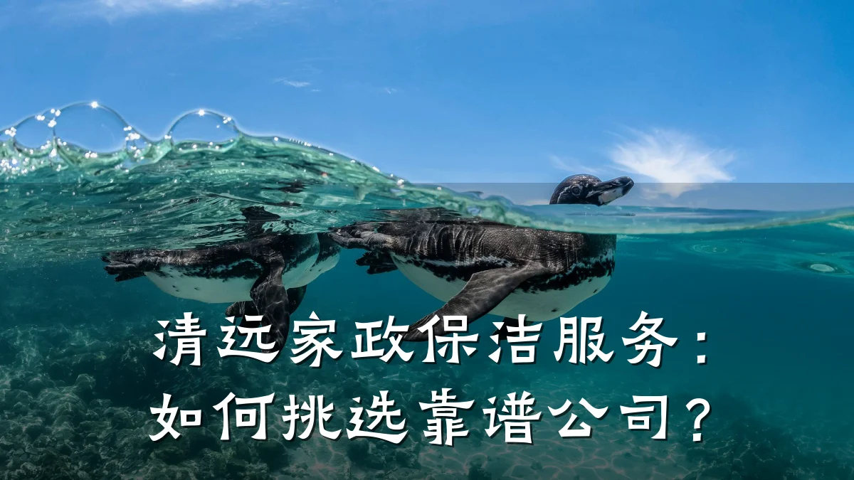 清远家政保洁服务：如何挑选靠谱公司？