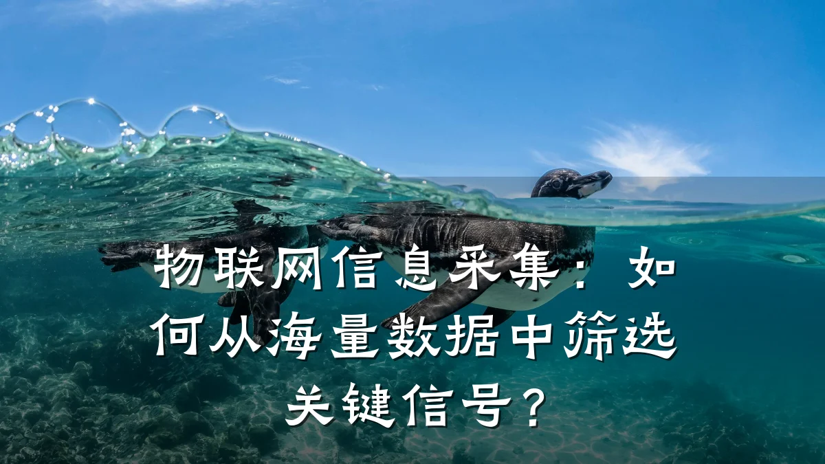 物联网信息采集：如何从海量数据中筛选关键信号？