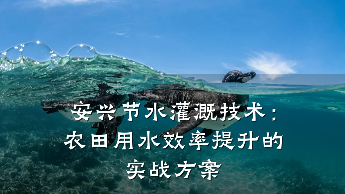 安兴节水灌溉技术：农田用水效率提升的实战方案