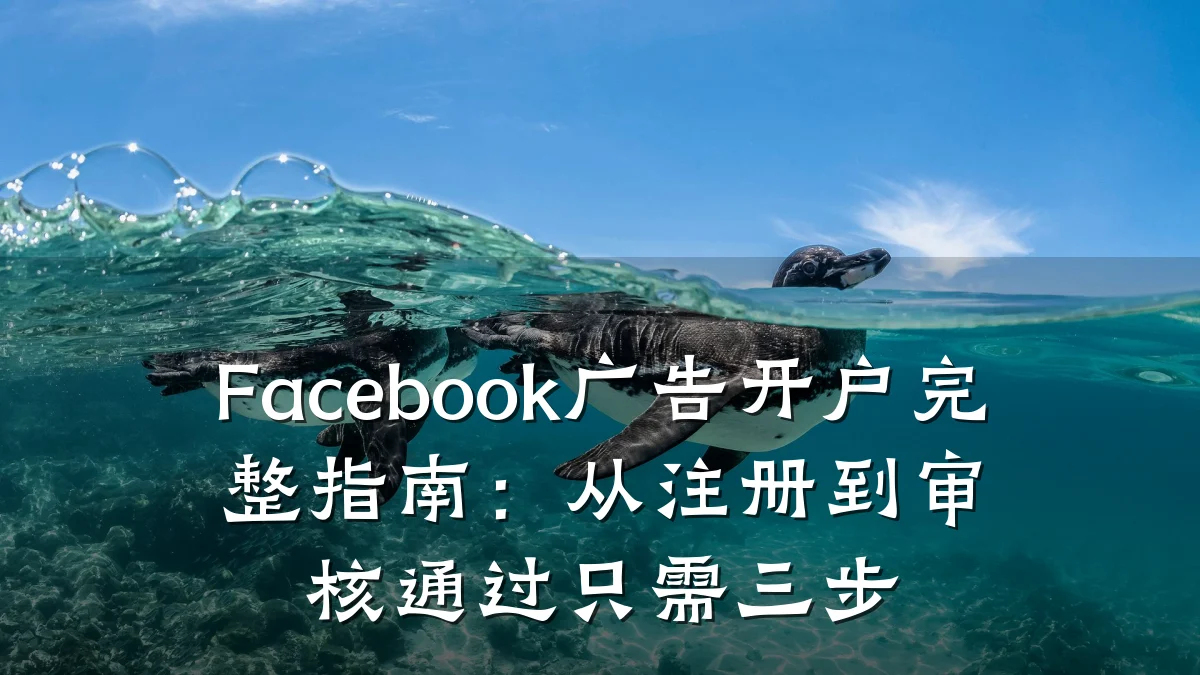 Facebook广告开户完整指南：从注册到审核通过只需三步