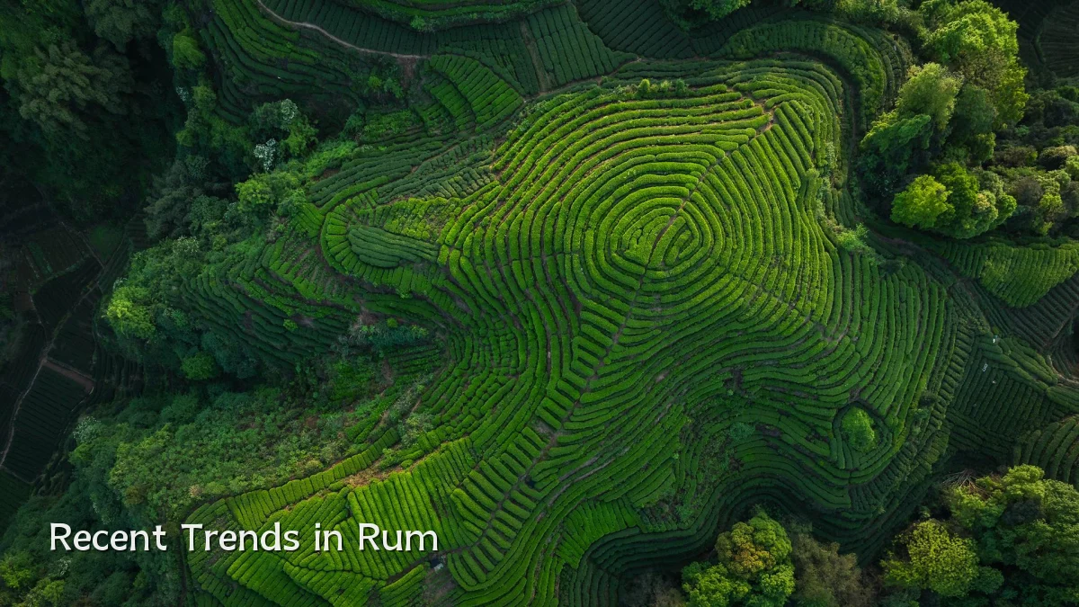 Recent Trends in Rum