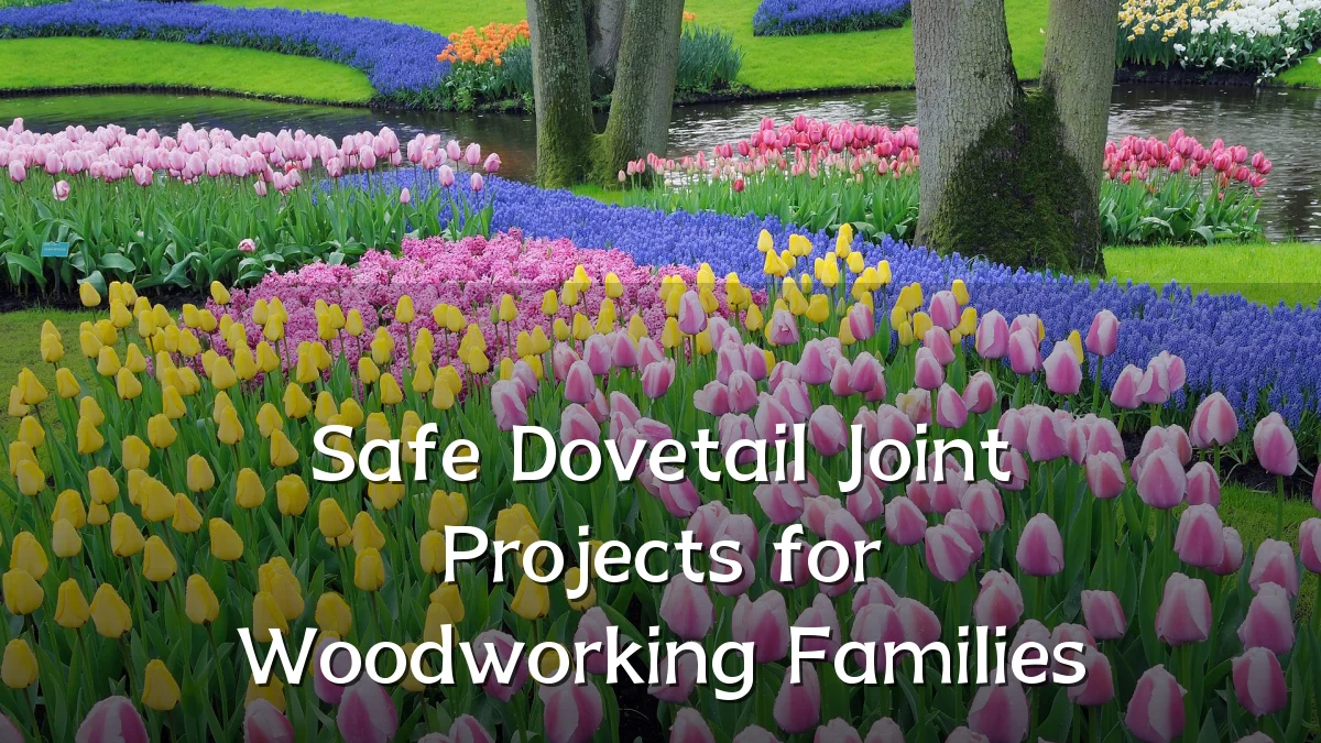 Safe Dovetail Joint Projects for Woodworking Families