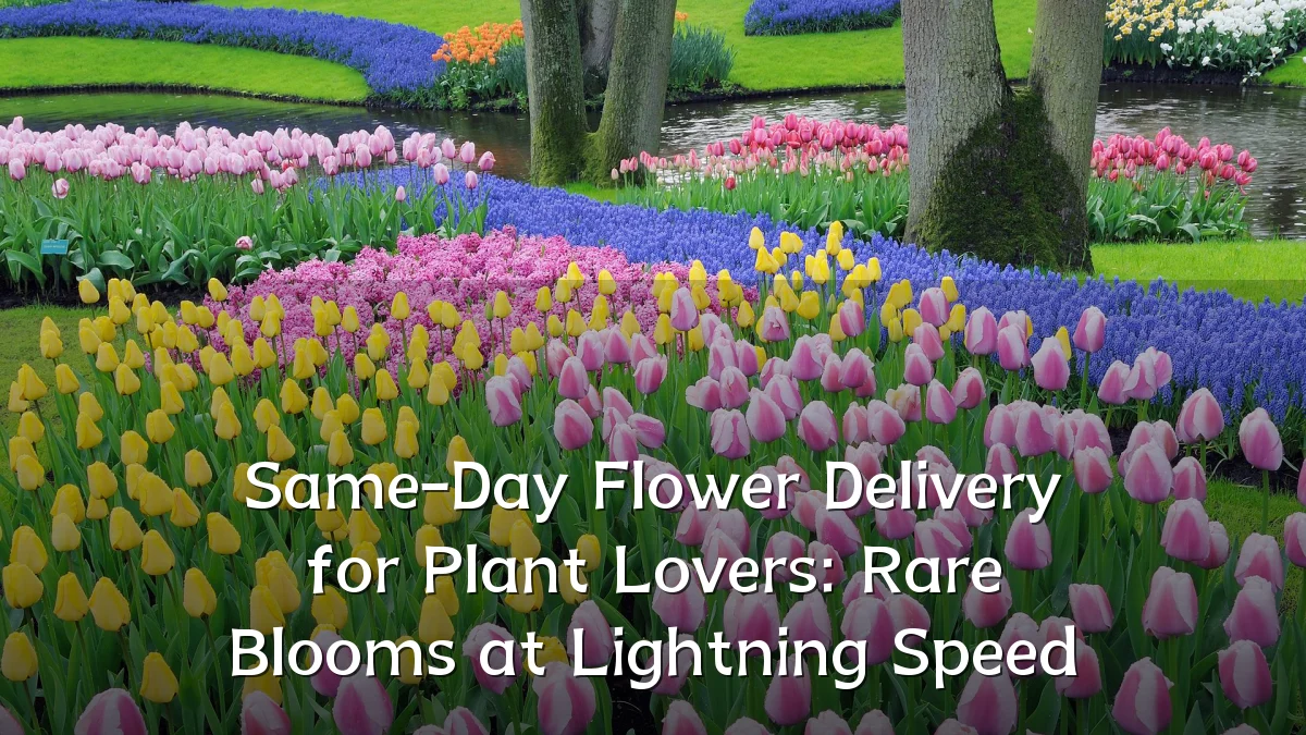 Same-Day Flower Delivery for Plant Lovers: Rare Blooms at Lightning Speed