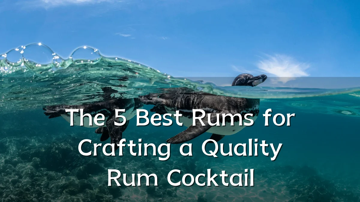 The 5 Best Rums for Crafting a Quality Rum Cocktail