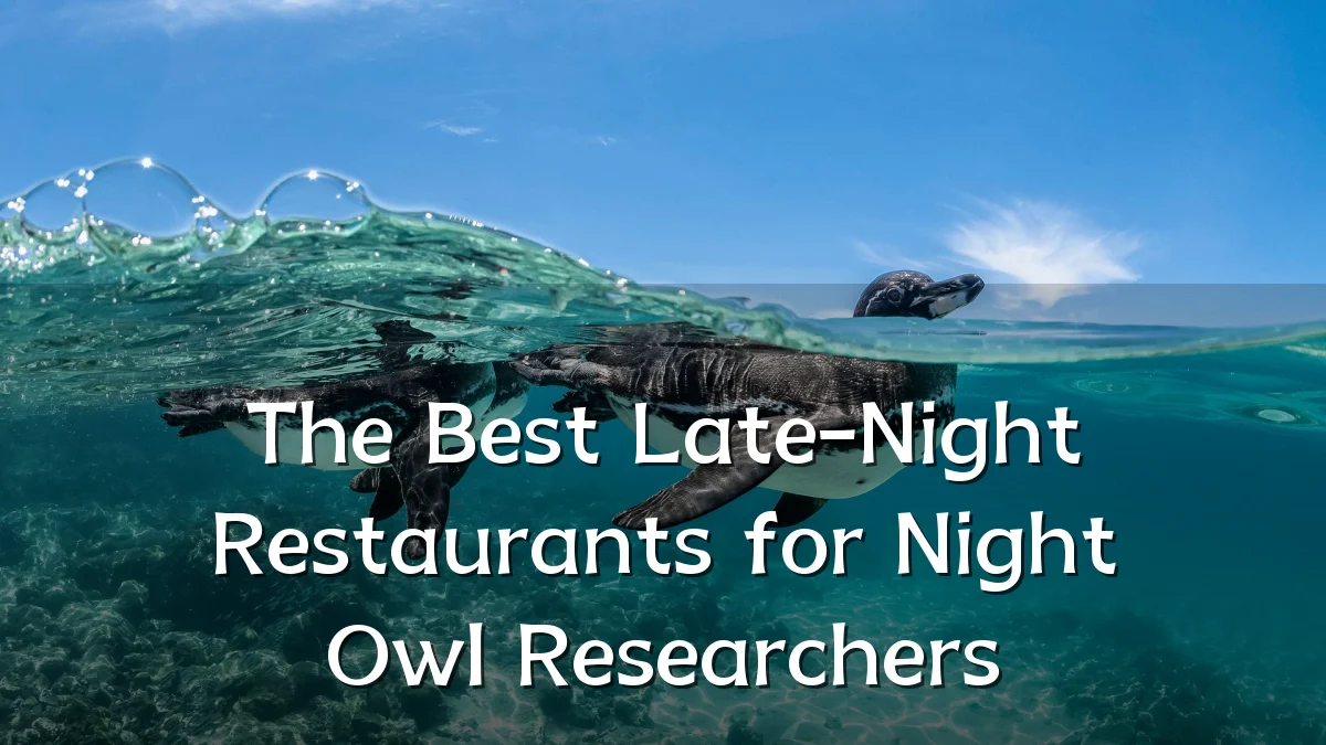 The Best Late-Night Restaurants for Night Owl Researchers