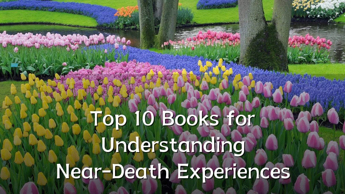 Top 10 Books for Understanding Near-Death Experiences