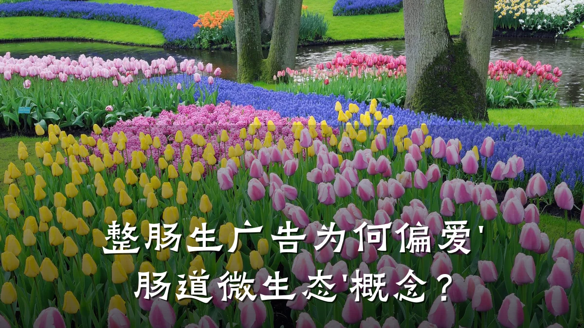 整肠生广告为何偏爱'肠道微生态'概念？