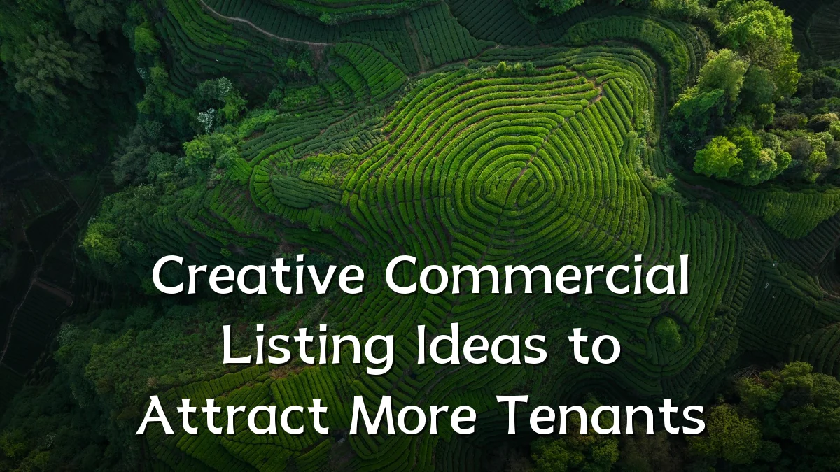 Creative Commercial Listing Ideas to Attract More Tenants
