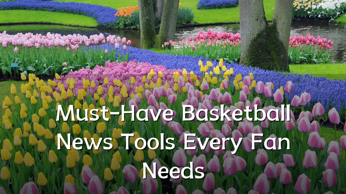 Must-Have Basketball News Tools Every Fan Needs