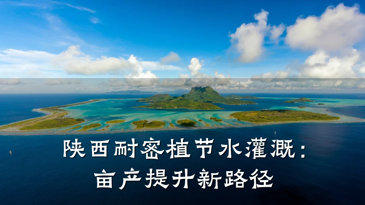 陕西耐密植节水灌溉:亩产提升新路径