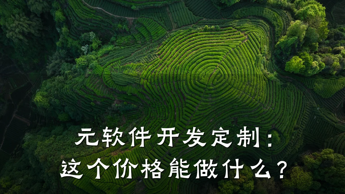 元软件开发定制:这个价格能做什么?