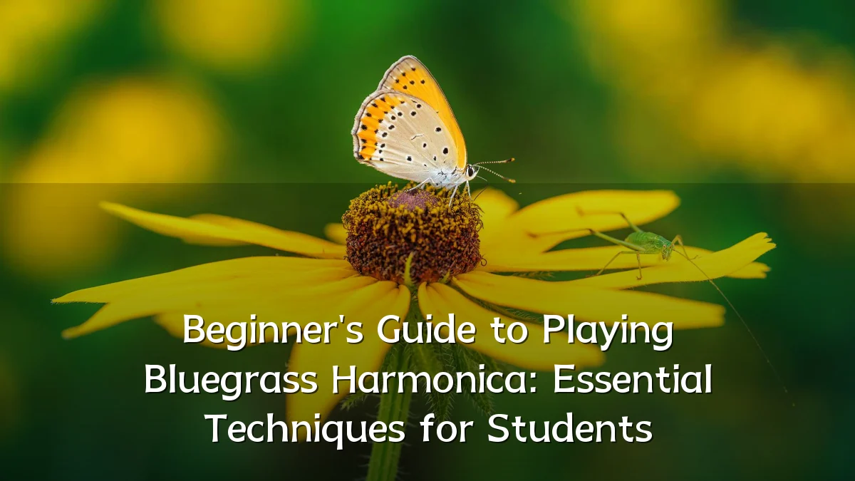 Beginner's Guide to Playing Bluegrass Harmonica: Essential Techniques for Students