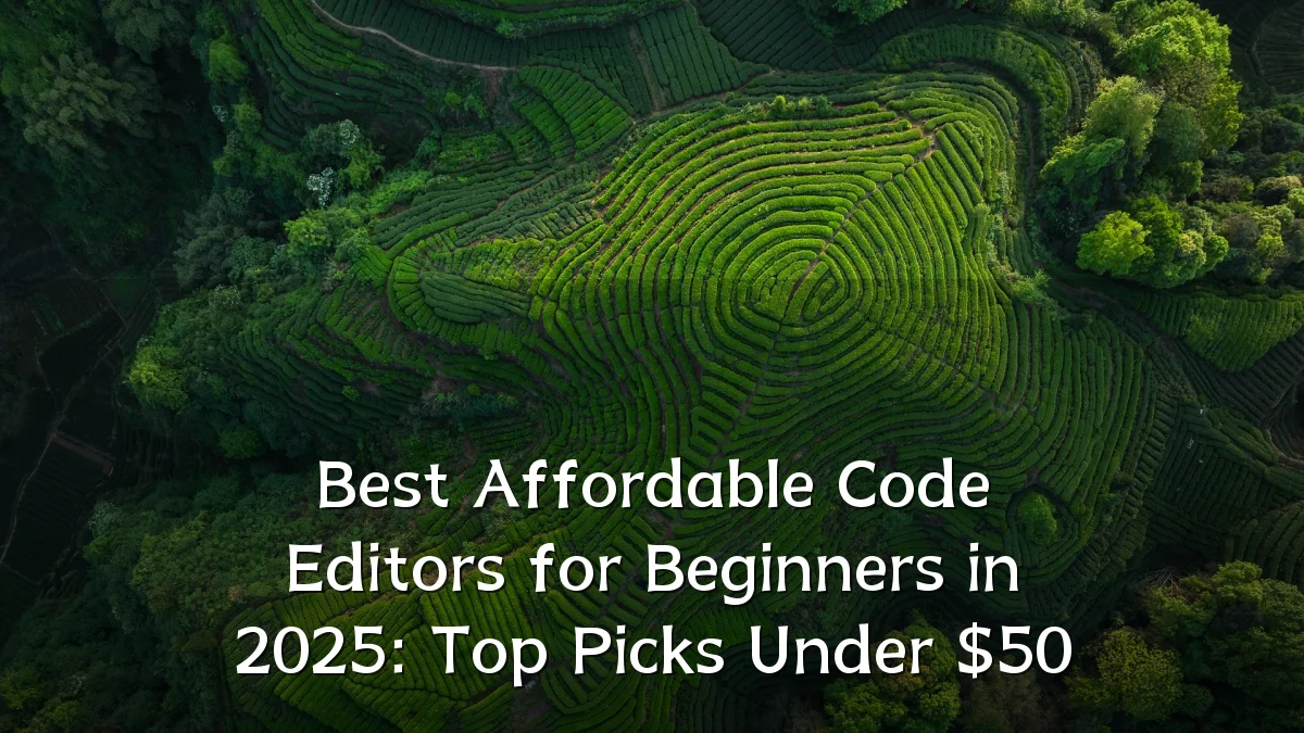Best Affordable Code Editors for Beginners in 2025: Top Picks Under $50