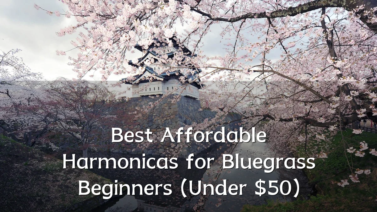 Best Affordable Harmonicas for Bluegrass Beginners (Under $50)