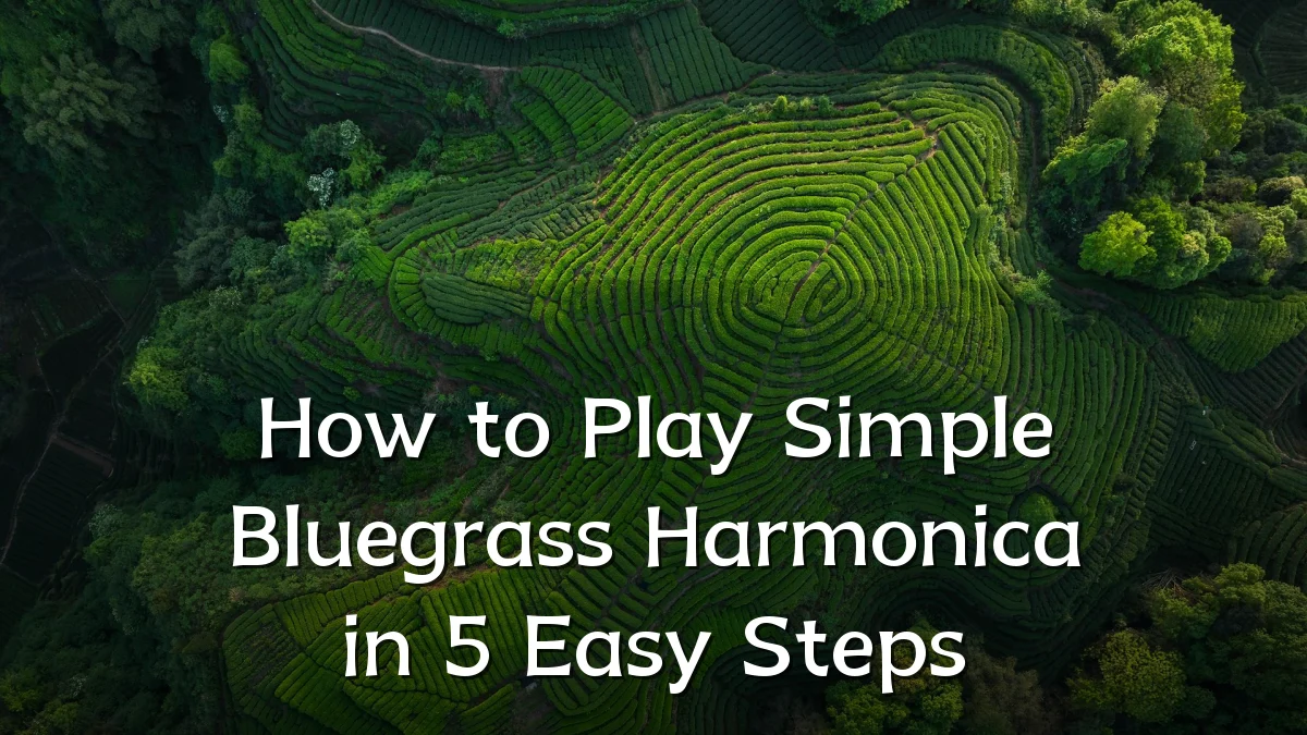 How to Play Simple Bluegrass Harmonica in 5 Easy Steps