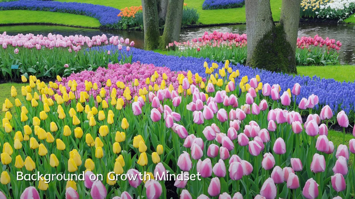 Background on Growth Mindset