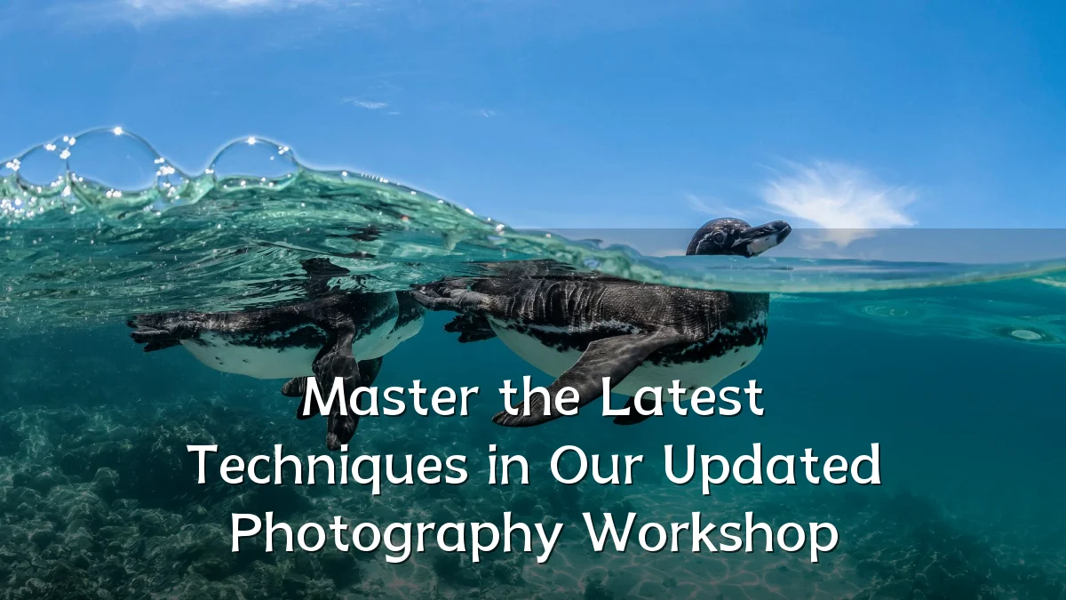 Master the Latest Techniques in Our Updated Photography Workshop