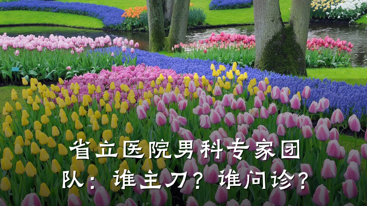 省立医院男科专家团队:谁主刀?谁问诊?