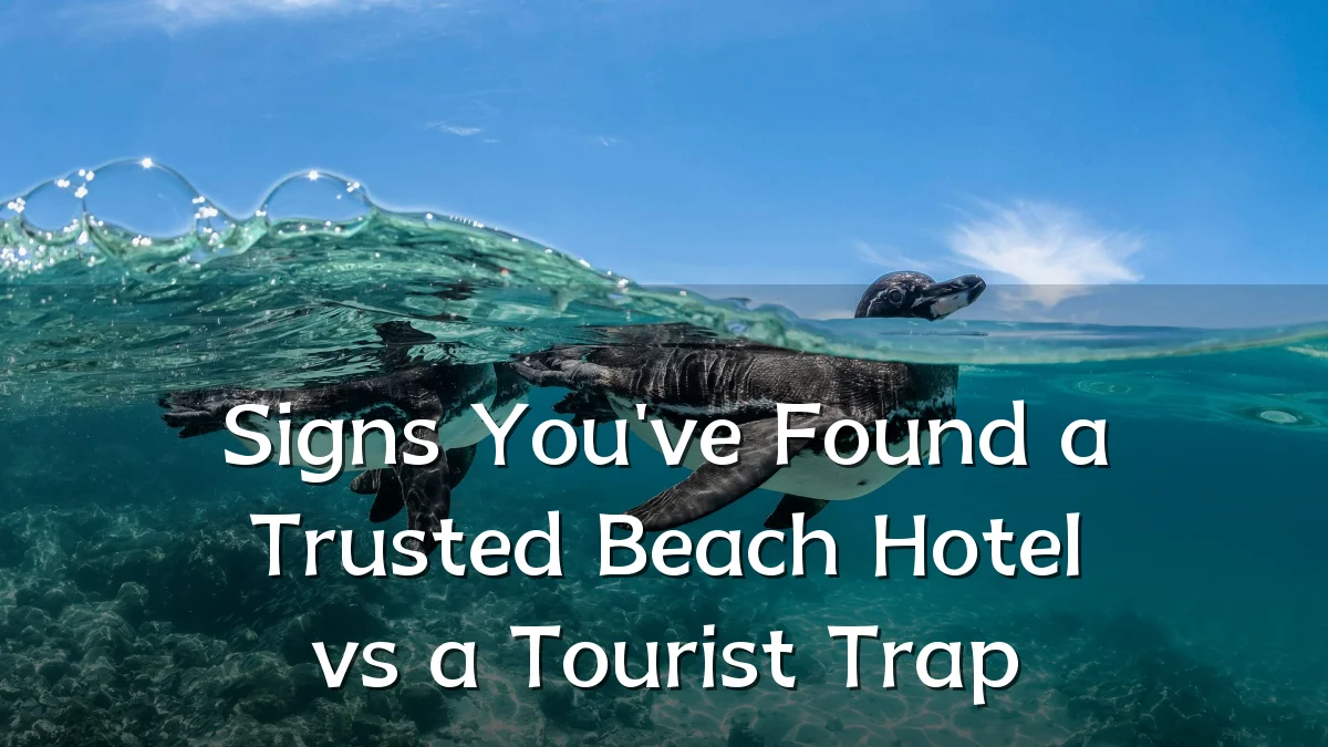 Signs You've Found a Trusted Beach Hotel vs a Tourist Trap