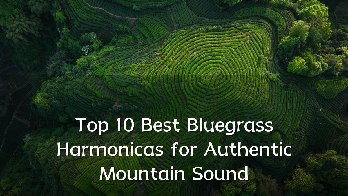 Top 10 Best Bluegrass Harmonicas for Authentic Mountain Sound