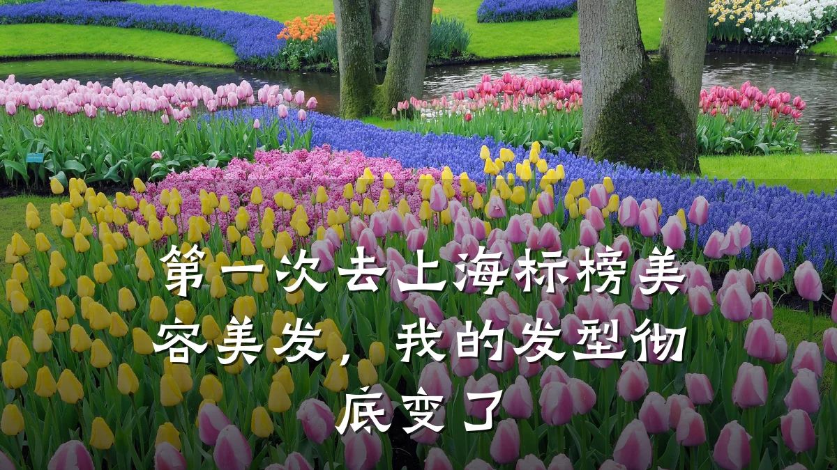 第一次去上海标榜美容美发,我的发型彻底变了
