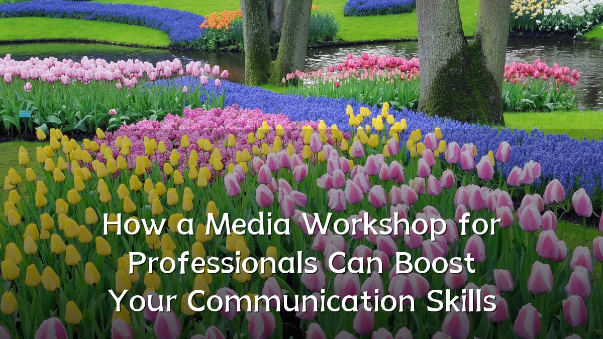 How a Media Workshop for Professionals Can Boost Your Communication Skills