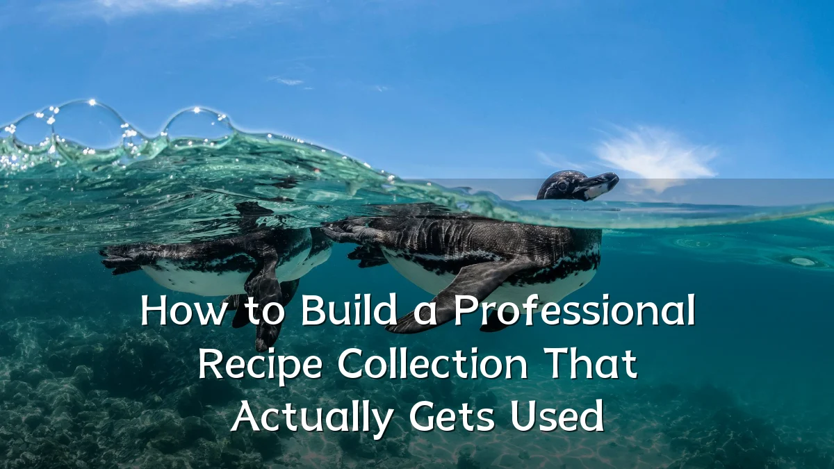 How to Build a Professional Recipe Collection That Actually Gets Used